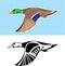 Flying Duck Vector Illustration
