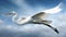 Flying egret in nature, spread wings, freedom, aquatic fishing motion generated by AI