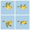 Flying European Siskin female animation sprite sheet