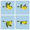 Flying European Siskin male animation sprite sheet