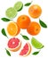 Flying exotic fruits. lime, grapefruit and orange fruit isolated on white background. clipping path