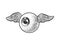 Flying eyeball sketch vector illustration