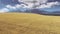 Flying fast above golden wheat field slovakia