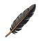 Flying feather, freedom and nature elegance