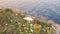 Flying Through Flower Field And Looking Up To The Mount Vesuvius. Sorrento Italy