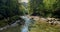 Flying fordward over a river full of rocks between trees