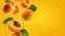 Flying fresh apricots on yellow background with copy space