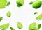 Flying fresh limes and lime slices with leaves. with blur effect. Vector 3d realistic illustration isolated on white background