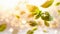 flying fresh natural basil leaves on white background