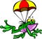 Flying frog