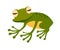 Flying Frog icon vector illustration