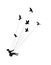 Flying girl and holding pigeons, fly in the dream, shadows, black and white,