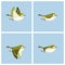Flying Goldcrest male animation sprite sheet