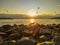 Flying gulls over the delightful Volga River