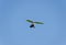 Flying hang-glider with a motor in the sky. Trike, flying in the sky with two people. Extreme Entertainment travelers