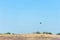 Flying heron over the steppe with blue sky