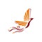 flying high fire bird phoenix logo design vector illustrations graphic