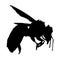 Flying Honey Bee Apis On a Side View Silhouette Found In All Around The World. Good To Use For Element Print Book, Animal Book
