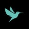 Flying hummingbirds on black background logo vector