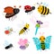 Flying insects vector collection - cartoon bee, butterfly, lady bug, dragonfly isolated on white background