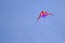 Flying kite