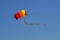 Flying kite