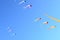 Flying kites in a blue sky