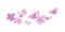 Flying light Purple Violet flowers isolated on white background. Apple-tree flowers. Cherry blossom. Vector EPS 10 cmyk