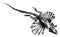 Flying lizard I Antique Animal Illustrations