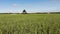 Flying Low Over the Fields and To A Barn House