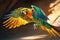 flying macaw parrot