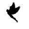 Flying man Icarus silhouette mythology symbol fantasy tale