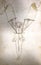 Flying man using wings for flight, 15th century. Anonymous sienese engineer