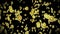 Flying many dried lemons on black background. Dehydrated fruits. 3D animation of sliced fruits lemons rotating. Loop.