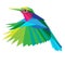 Flying multicolored hummingbird consisting of polygons