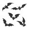 Flying night bats