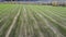 flying over an agricultural field The sun's rays over a field of green young plants