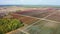 Flying over blueberry farm in the fall. Autumn shades of berries, red, burgundy. Aerial footage