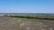 Flying over empty agriculture field in spring