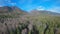 Flying over the forest at the foot of the mountains