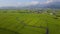 Flying over green rice paddies in Ilan  Yilan , Taiwan, with a country road winding through the rice fields