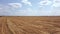 Flying over harvested wheat fields