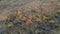 Flying over and looking down at the parched landscape of the Sonoran desert