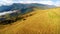 Flying over meadow at mountain landscape with pine tree highland forest