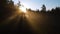 Flying over misty pine forest during sunrise. Sun rays getting through trees in fresh morning