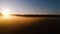 Flying over misty pine forest during sunrise. Sun rays getting through trees in fresh morning