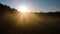 Flying over misty pine forest during sunrise. Sun rays getting through trees in fresh morning. Fog illuminated by the sun