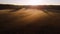 Flying over misty pine forest during sunrise. Sun rays getting through trees in fresh morning. Fog illuminated by the sun