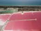 Flying over the pink colored lagoons of salt fields. Picturesque drone point of view of the colorful salt lakes on a