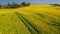 Flying over stunning yellow rape fields in Poland